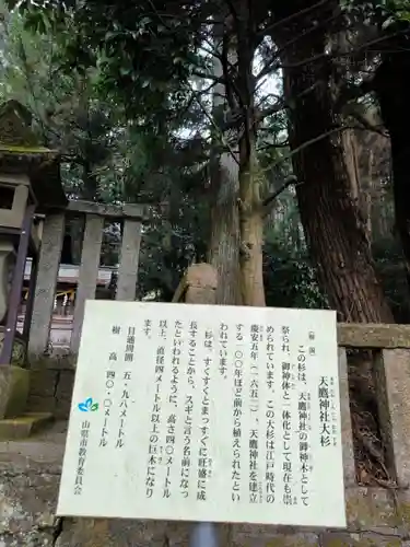 天鷹神社(岐阜県)