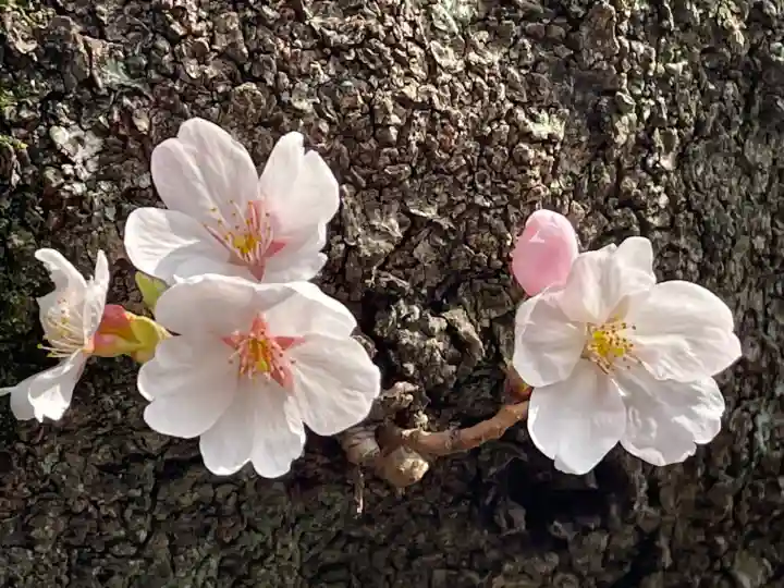弘明寺の{uncategorized: "未分類", other: "その他", undefined: "問題あり", building: "その他建物", grave: "お墓", sacred_gate: "鳥居", guardian: "狛犬", statue: "像", buddha: "仏像", history: "歴史", nature: "自然", garden: "庭園", animal: "動物", pagoda: "塔", temizu: "手水舎", mountain_gate: "山門・神門", sanctuary: "本殿・本堂", subordinate: "末社・摂社", art: "芸術", scenery: "景色", jizo: "地蔵", ema: "絵馬", goshuin: "御朱印", omikuji: "おみくじ", items: "授与品その他", amulet: "お守り", goshuincho: "御朱印帳", eats: "食事", festival: "お祭り", votive_dance: "神楽", shichigosan: "七五三参", wedding: "結婚式", experience: "体験その他", initially: "初詣", around: "周辺", anti_infection: "感染症対策"}