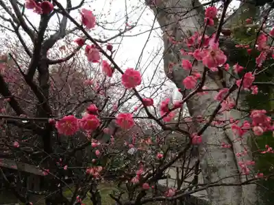 北野天満宮(京都府)