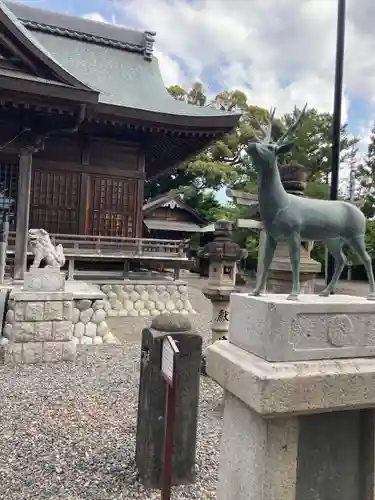 春日神社の狛犬