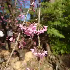 三澤寺の自然