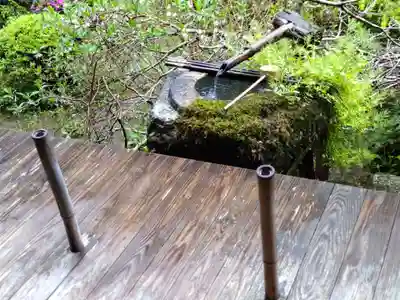 宝泉院(京都府)