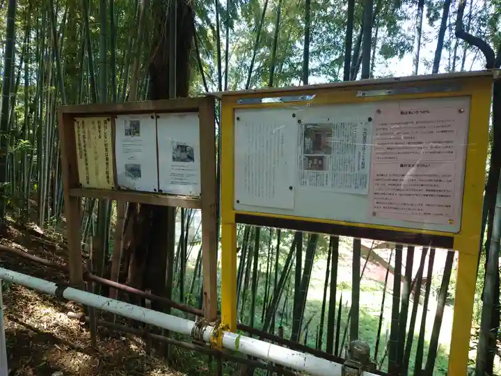 中将姫(神奈川県)