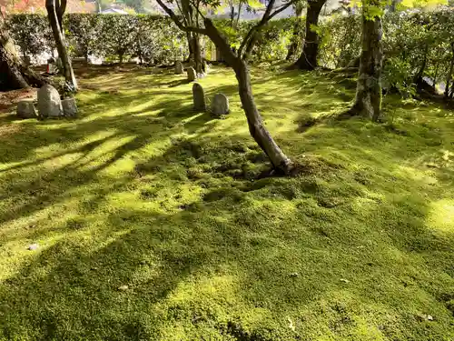 化野念仏寺(京都府)