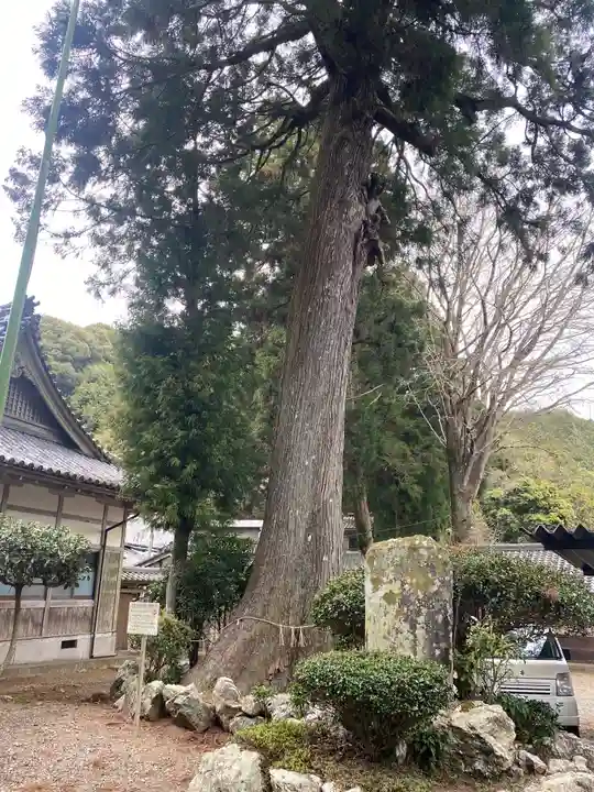 正福寺(三重県)