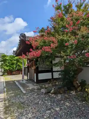 勝巖院(京都府)
