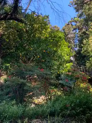 久遠寺(山梨県)