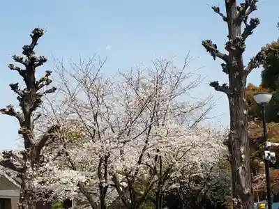 宝仙寺(東京都)