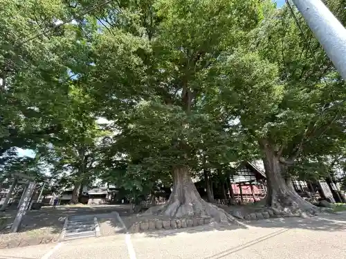 白鳥神社(長野県)