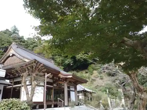 稱名寺（称名寺）の本殿・本堂