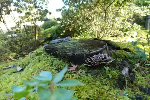 城南宮の庭園