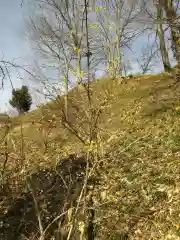 たばこ神社の自然