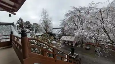松ヶ崎大黒天 妙圓寺（妙円寺）(京都府)