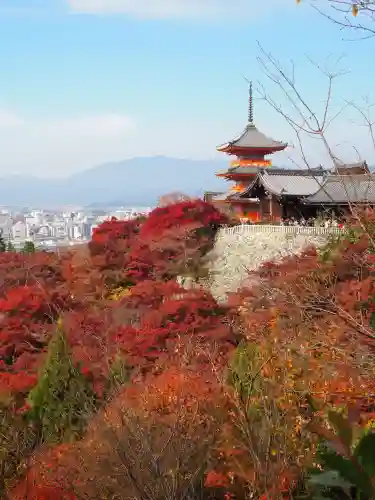 清水寺(京都府)