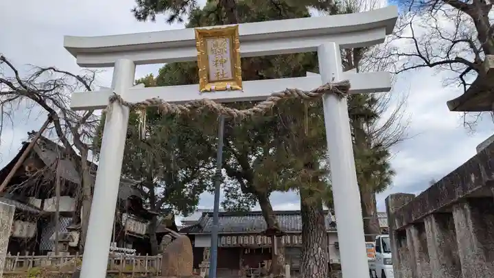 縣神社の鳥居