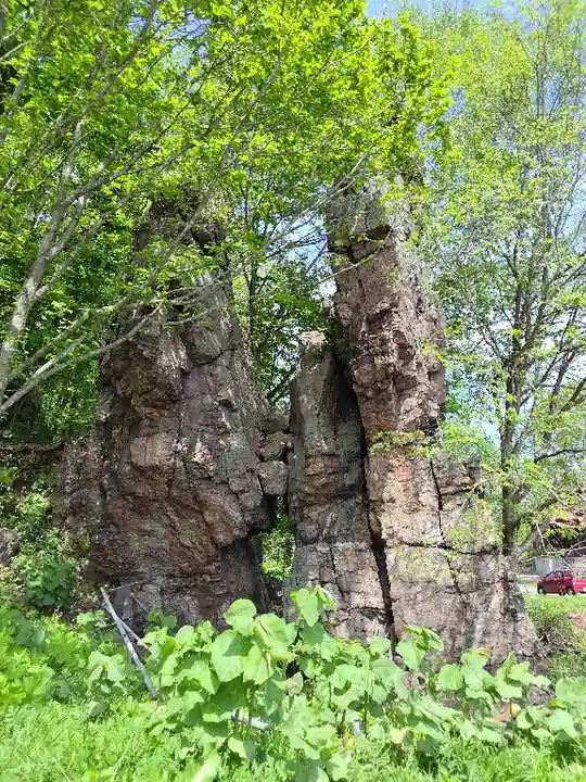 水神龍王神社の自然