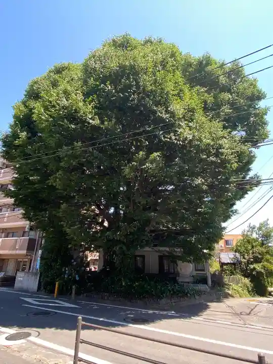 小野神社(東京都)