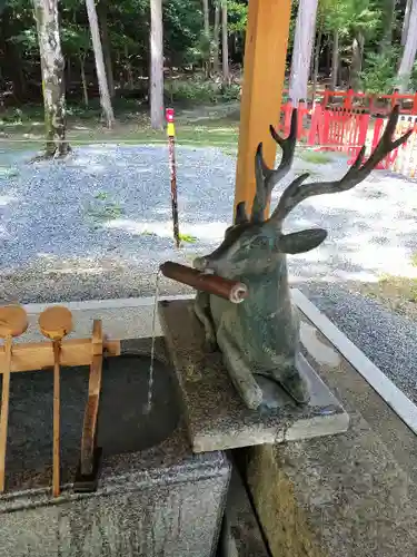 大原野神社の手水舎