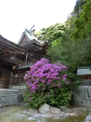 石見国一宮　物部神社の本殿