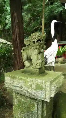 宮地嶽神社の狛犬