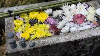 宝蔵寺(京都府)