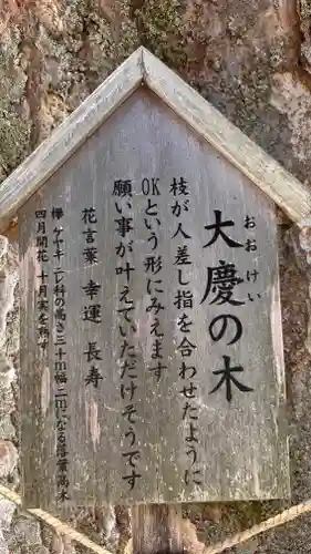 塩屋神社(広島県)