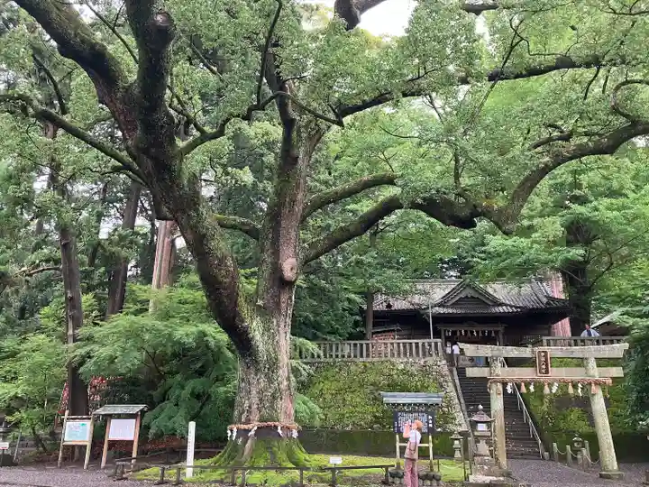 事任八幡宮(静岡県)