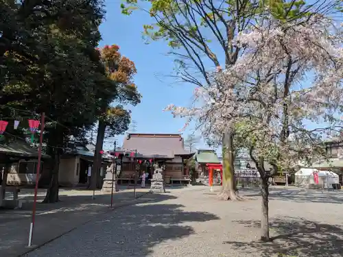 相模原氷川神社(神奈川県)