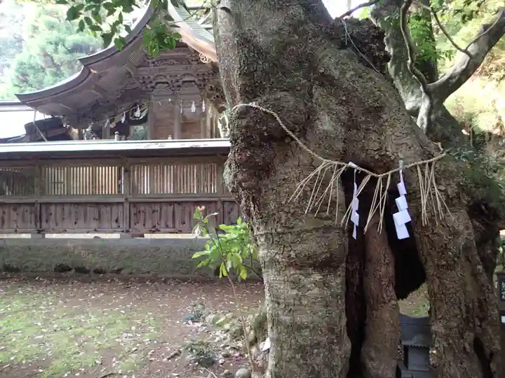 倭文神社のその他建物