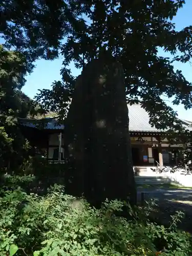 万蔵院のその他建物