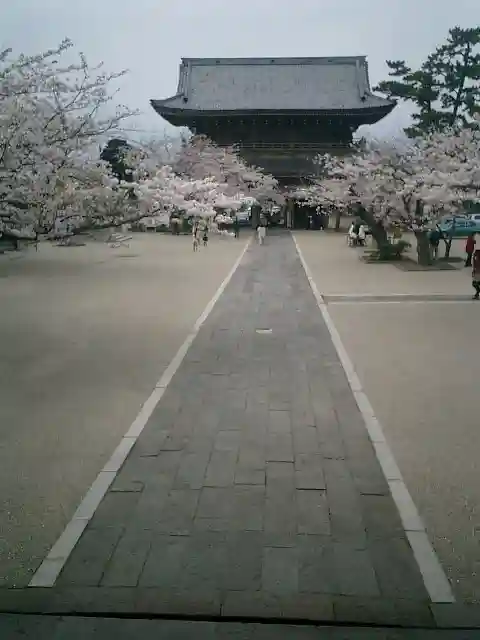光明寺のその他建物
