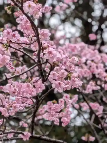 妙法寺(東京都)