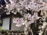 木舟山 順教寺の自然