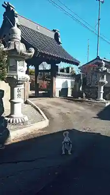 宗林寺(山梨県)