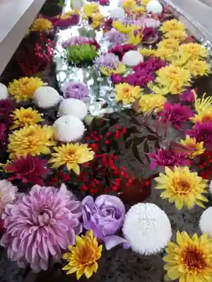 神明氷川神社(東京都)