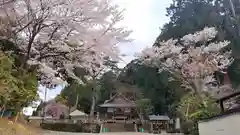 平岡八幡宮の自然