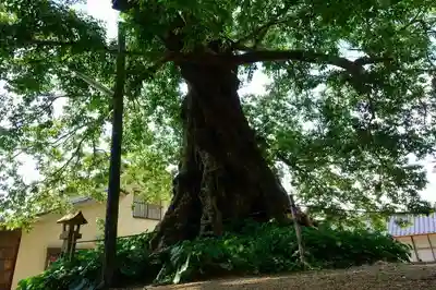 神魂伊能知奴志神社のその他建物