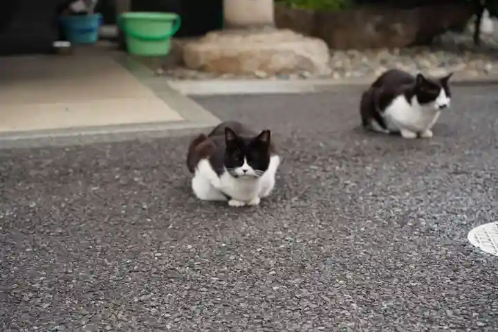 白金氷川神社(東京都)