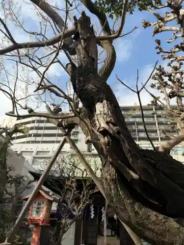 四谷於岩稲荷田宮神社の{uncategorized: "未分類", other: "その他", undefined: "問題あり", building: "その他建物", grave: "お墓", sacred_gate: "鳥居", guardian: "狛犬", statue: "像", buddha: "仏像", history: "歴史", nature: "自然", garden: "庭園", animal: "動物", pagoda: "塔", temizu: "手水舎", mountain_gate: "山門・神門", sanctuary: "本殿・本堂", subordinate: "末社・摂社", art: "芸術", scenery: "景色", jizo: "地蔵", ema: "絵馬", goshuin: "御朱印", omikuji: "おみくじ", items: "授与品その他", amulet: "お守り", goshuincho: "御朱印帳", eats: "食事", festival: "お祭り", votive_dance: "神楽", shichigosan: "七五三参", wedding: "結婚式", experience: "体験その他", initially: "初詣", around: "周辺", anti_infection: "感染症対策"}