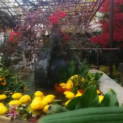 徳王稲荷社・金刀比羅社の手水舎