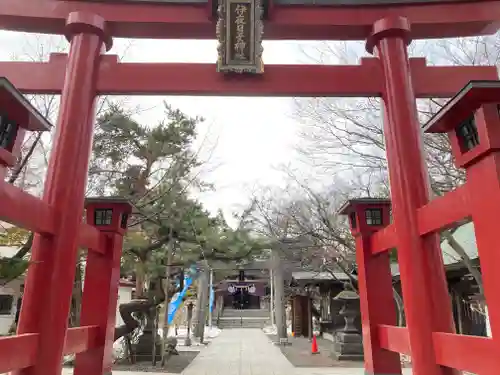 彌彦神社　(伊夜日子神社)の鳥居