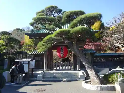 長谷寺の山門・神門