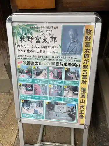 天王寺(東京都)