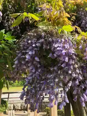 白山神社(新潟県)