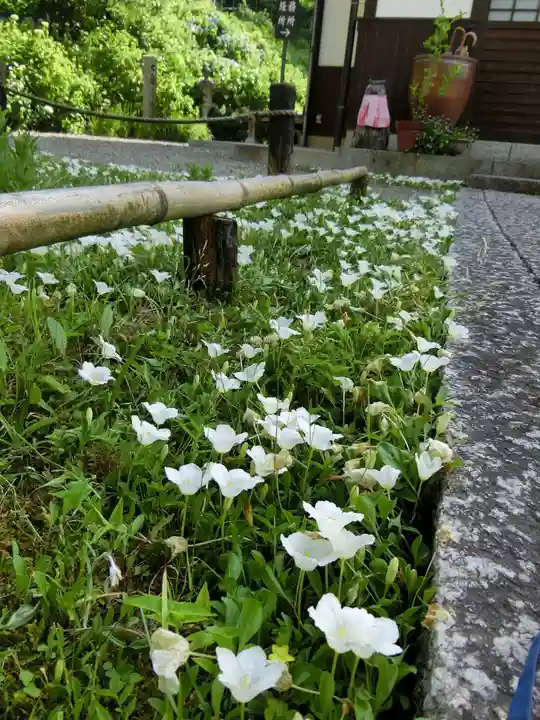 観音寺(京都府)