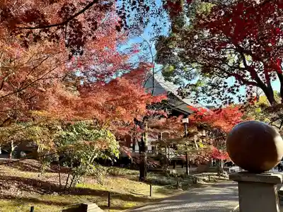淨眞寺(東京都)
