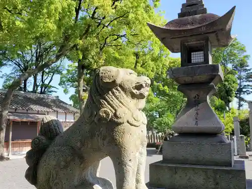 早川神社の狛犬