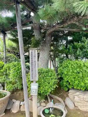 蓮華寺(東京都)