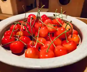 滑川神社 - 仕事と子どもの守り神(福島県)(2020年07月02日(木) 13時22分47秒投稿)