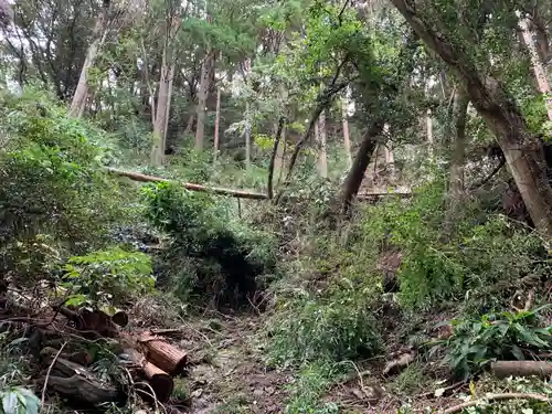 佐室浅野神社の自然